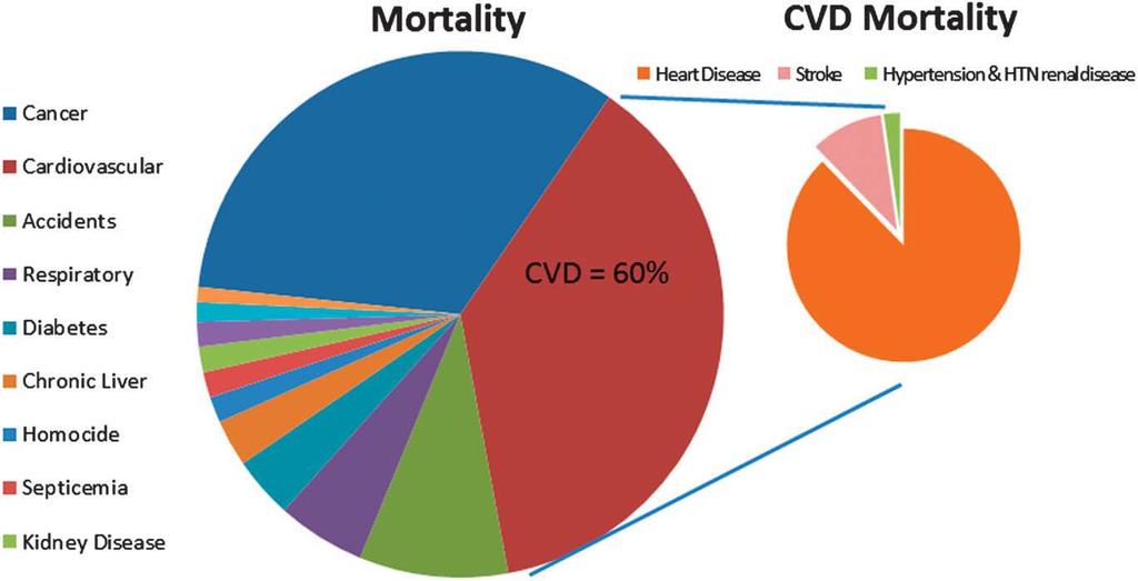 Top causes of mortality in