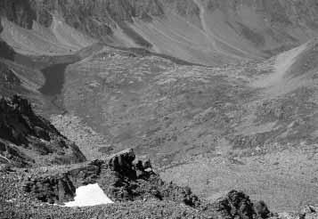Note sui Coleotteri Carabidi dell alta e media Val Pellice (Alpi Cozie) tunnale nel mese di ottobre (136,8 mm); il minimo assoluto è invernale (45,7 mm nel mese di gennaio), mentre il minimo relativo
