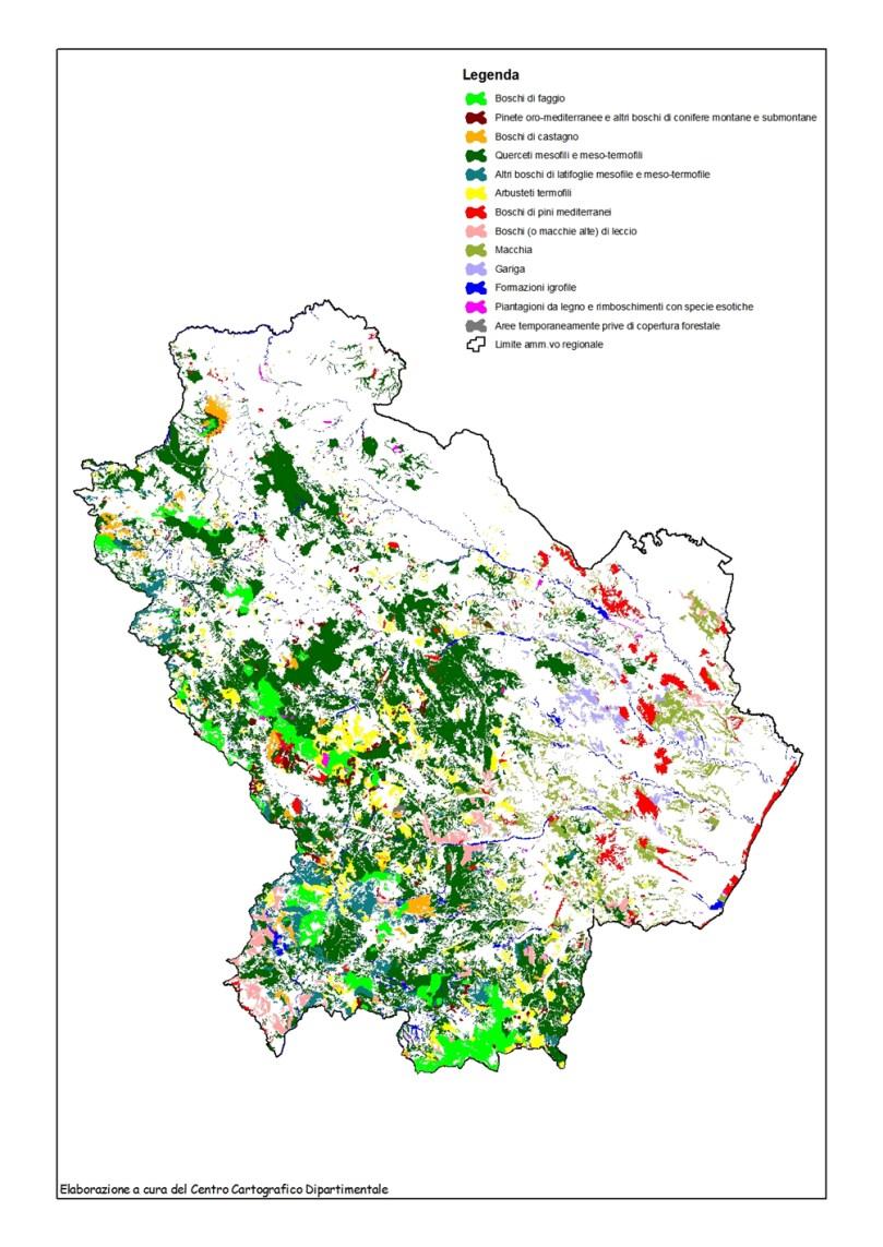 8% della superficie forestale complessiva. Nessuna delle altre categorie fisionomiche raggiunge la soglia del 10%, con i boschi di faggio che si attestano all 8.