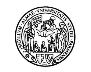 UNIVERSITA DEGLI STUDI DI PARMA Dipartimento di Ingegneria Civile, dell Ambiente, del Territorio e Architettura - DICATeA Corso di Laurea Magistrale in Architettura PROGETTO DI UN EDIFICIO IN TERRA