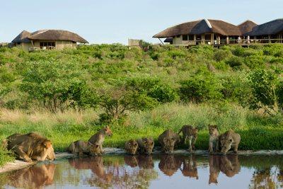 Tau Pan Camp Situato all'interno della remota Central Kalahari Game Reserve, il lodge gode di una posizione privilegiata, adagiato sul fianco di una delle rare colline del pianeggiante Botswana, da
