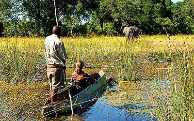 Giorno 8 Escursioni ed attività nella Kwara Concession nel Delta dell Okavango Giornata a disposizione per esplorare la riserva e per approfondire la conoscenza del Delta.
