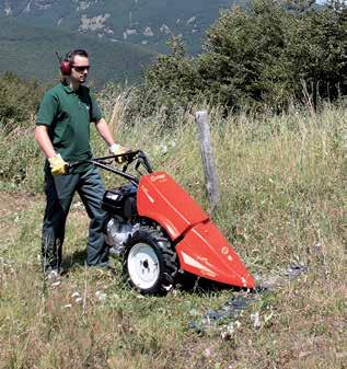 2,66-3 a R: 4,41 Invertitore Frizione Stegole rapido, con leva di comando sul manubrio conica a secco/a dischi regolabili in altezza con