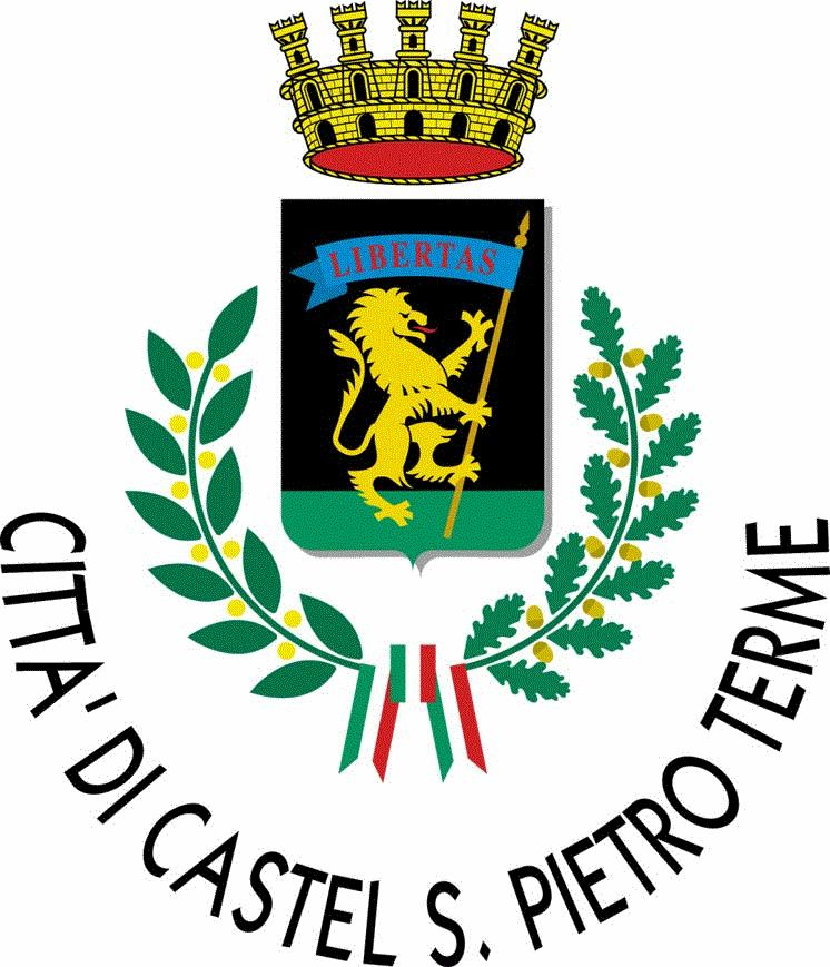 COMUNE DI CASTEL SAN PIETRO TERME PROVINCIA DI BOLOGNA AREA SERVIZI PER LA COLLETTIVITA ED IL TERRITORIO REGOLAMENTO COMUNALE