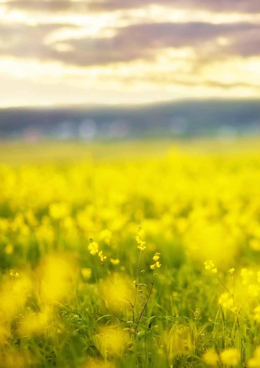 In ogni prodotto VECA trovate la nostra creatività, la nostra passione, il nostro amore per la qualità. Questa è la nostra firma: la promessa che in ogni pezzo troverete un po di noi.