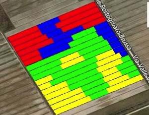 ba 0,08 cb 0,11 dc Sostanzaorganica(%) 1,22 aa 1,23 aa 1,71 bb 2,38 cc Fosforoassimilabile(mgP2O5/kg) 32,83 ns 30,00 ns 30,86 ns 29,50 ns Potassioscambiabile(mgK2O/kg) 115,83