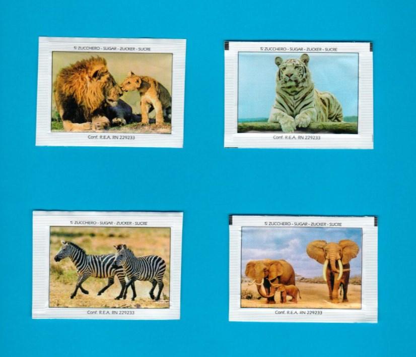 Serie 8 Animali della savana 5x7 4 4 Disponibile