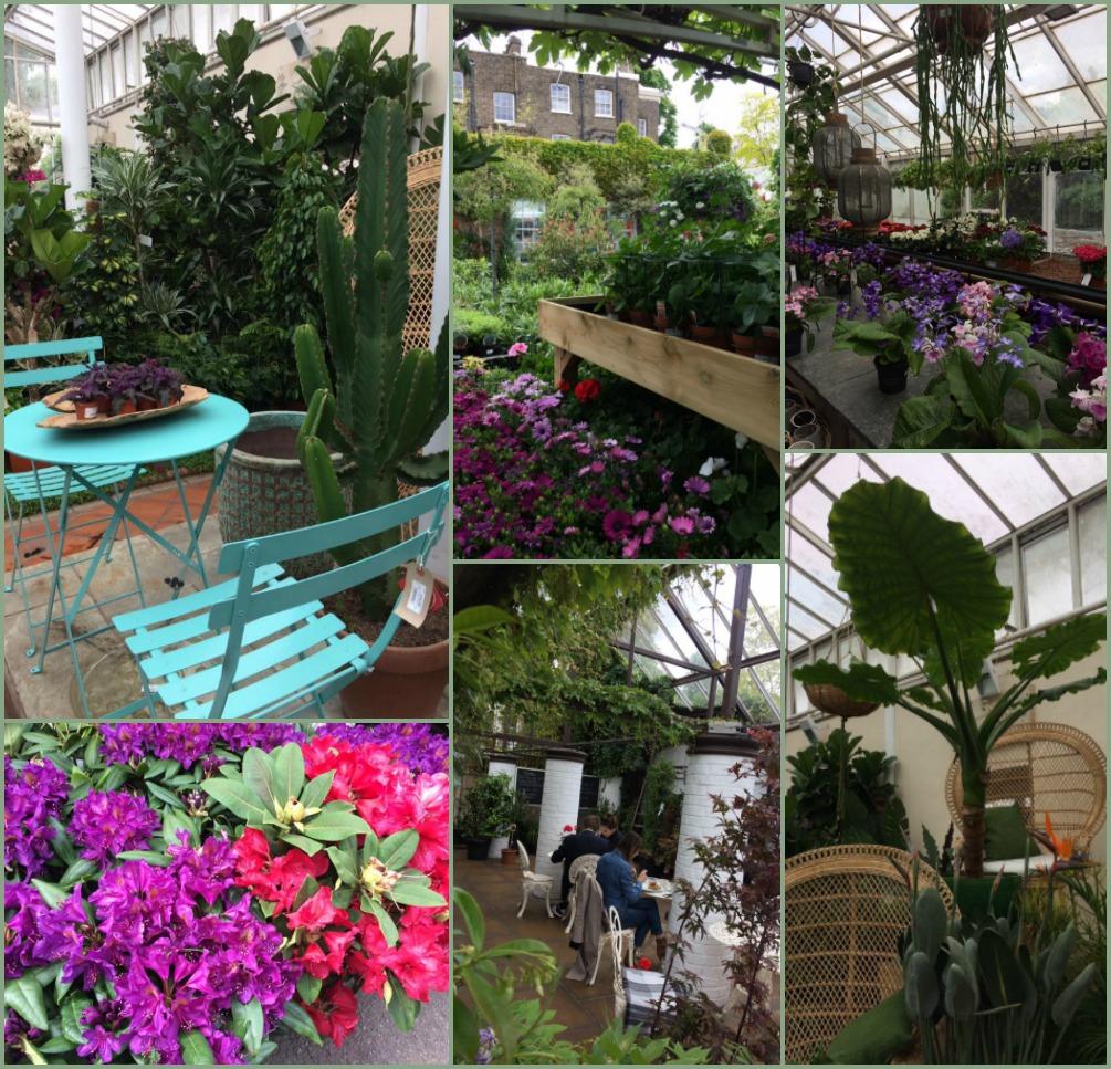 London, Clifton Nurseries All interno di questa oasi vivaistica, tra piantine da balcone e foglie di banani giganteschi vi appare all improvviso la struttura bianca e in legno di The Quince Tree, una