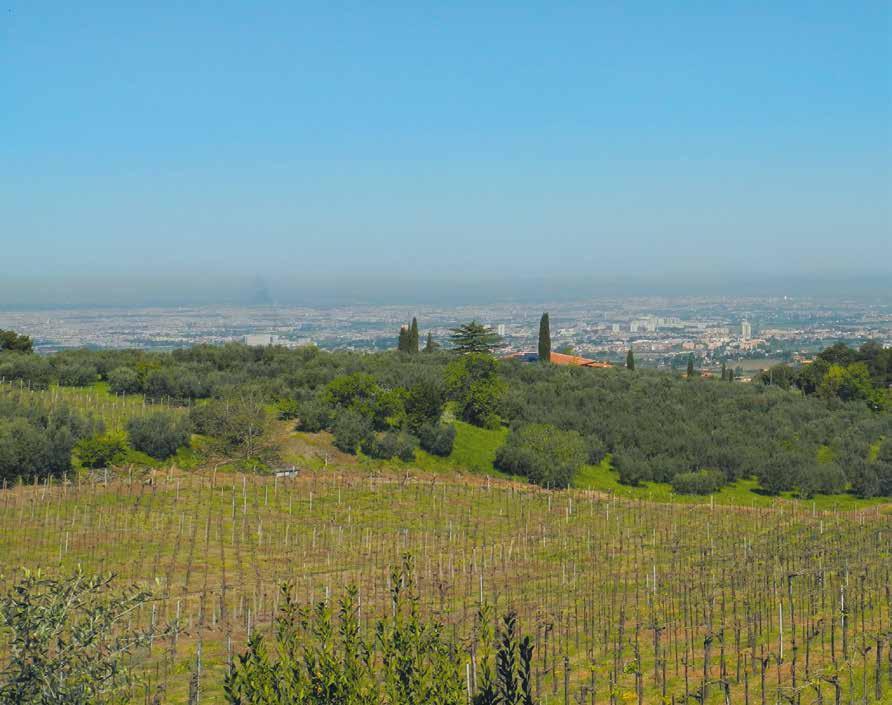 CORSO DI LAUREA (L-21) PIANIFICAZIONE E PROGETTAZIONE DEL PAESAGGIO E DELL AMBIENTE