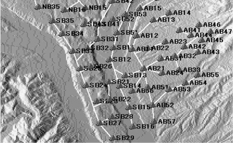 2 m 2 disposti a una distanza di 1 Km l uno dall altro; L area complessiva dell array e di 100 Km 2 ; I rivelatori a scintillazione servono per rivelare