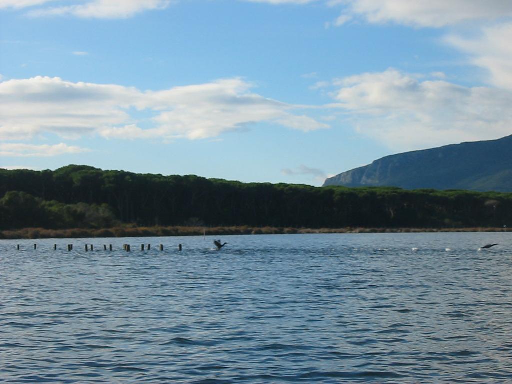 La Laguna di Orbetello è stata identificata come SIN (sito di bonifica di interesse