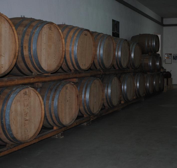 Tecnologia di produzione Si utilizza il termine vinificazione con macerazione o vinificazione in rosso perché le sostanze coloranti (antociani)