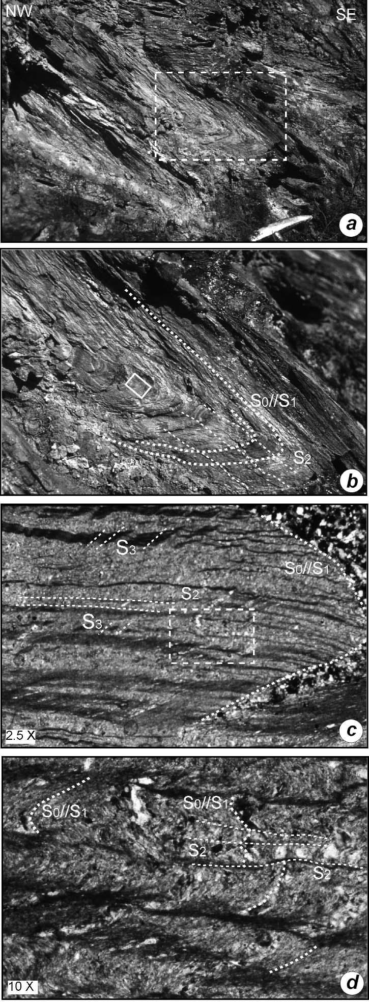 THE METAMORPHIC UNITS OF THE EASTERN SIDE OF MONTE LEONI 329 metamorphism and the rare exposures of this lithofacies prevent accurate sedimentological analyses.