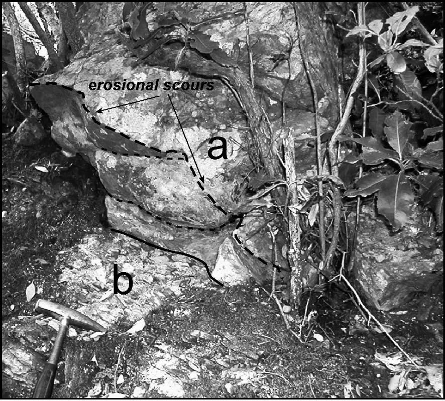 3 M. ALDINUCCI ET ALII Fig. 16 - Quartzose metaconglomerates of the Anageniti minute Fm.