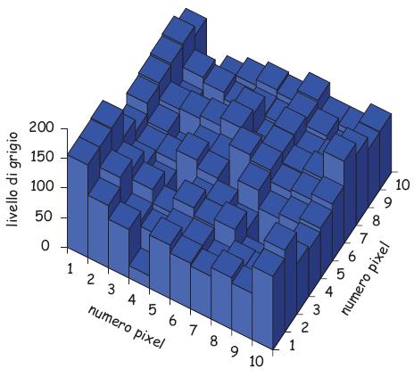 Lo speckle è una distribuzione casuale, ben contrastata e distribuita, di piccole macchioline, con toni di grigio ad elevato contrasto.