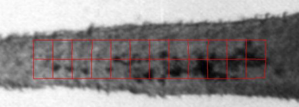 Risultati sperimentali di deformazione analisi globale Deformazioni medie per