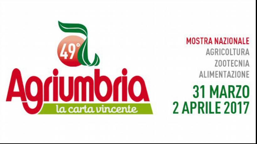 UMBRIA 1977-2017