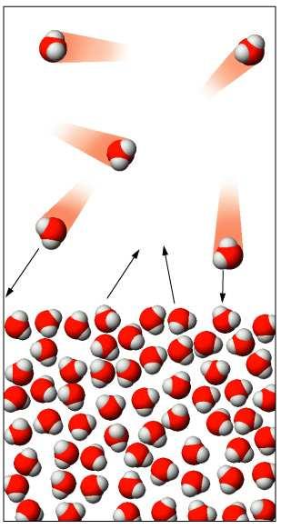 Le molecole possono sia sfuggire dalla superfice del liquido verso il vapore che ricondensare dal vapore verso la superfice del liquido.