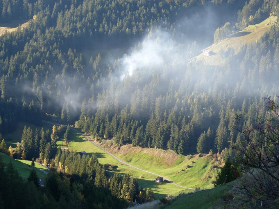 Il Parco Nazionale dello Stelvio nasce nel 1935 e copre attualmente una superficie di quasi 135.