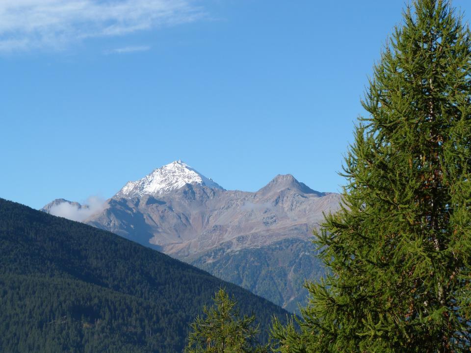 Gli oltre cento ghiacciai presenti offrono panorami indimenticabili così come la varietà degli ambienti naturali, molto diversi tra loro grazie alle notevoli fasce di altitudine coperte che vanno da