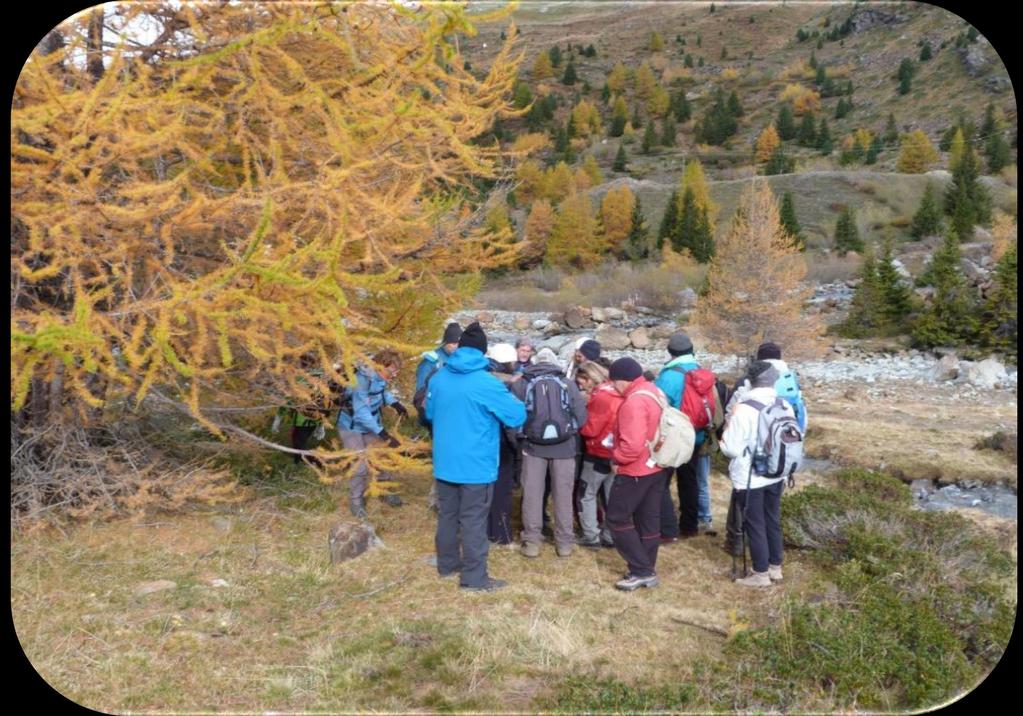 ESCURSIONE AL GHIACCIAIO DEI FORNI