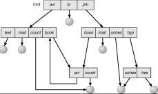 Directory a grafo aciclico Due nomi diversi per lo stesso oggetto (aliasing) Implementazione della condivisione: Duplicazione dei file o Link (collegamento) (LINK Simbolici o LINK Hard) Problema