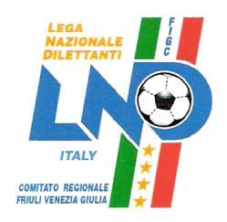 Federazione Italiana Giuoco Calcio Lega Nazionale Dilettanti Settore Giovanile e Scolastico DELEGAZIONE PROVINCIALE DI UDINE Stagione sportiva 2013/2014 COMUNICATO UFFICIALE n.