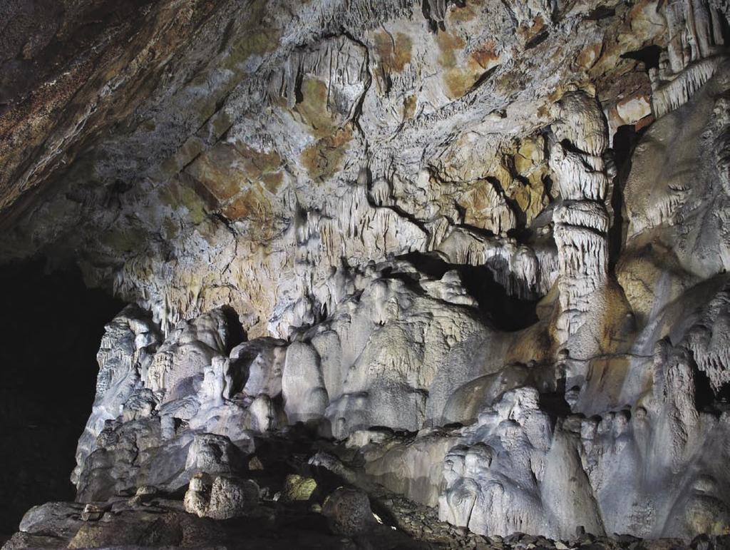 G. CANCIAN GORTANIA. Geologia, Paleontologia, Paletnologia 37 (2015) Fig. 1 - Concrezioni calcitiche nella Grotta di Boriano o Grotta dell Acqua 125/135 VG (Carso Triestino, foto Andrea Colus).