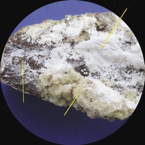 G. CANCIAN GORTANIA. Geologia, Paleontologia, Paletnologia 37 (2015) leucofosfite gesso taranakite 2 mm Fig.