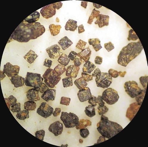 campioni, prendendo in esame anche i parametri di cella della goethite, che si confermò come minerale prevalente (Cancian & Princivalle 2004).