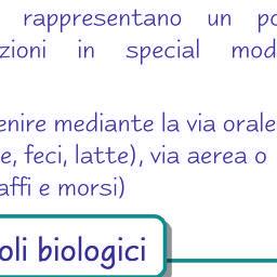 rischi legati alla trasmissione di