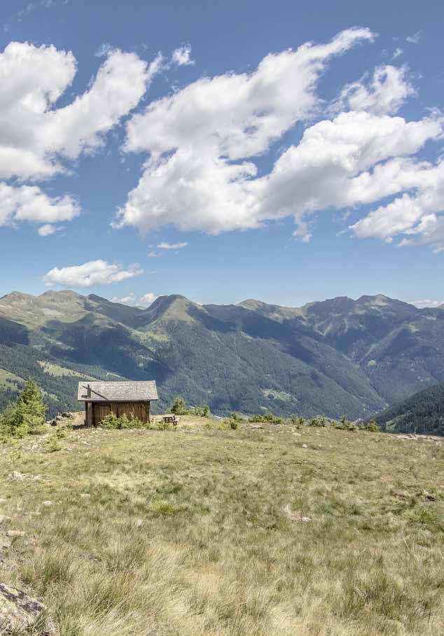 come arrivare BRENNERO PASSO RESIA RABBI PEIO PASSO DEL TONALE MEZZANA MALÉ DIMARO FOLGARIDA