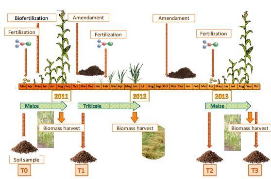 Analisi della sostenibilità agronomica dell