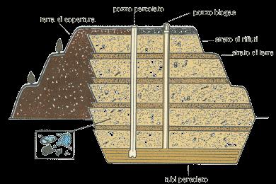 In discarica Come si cattura?