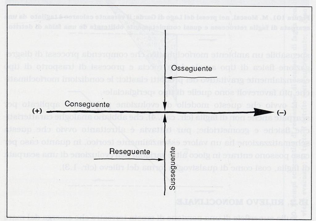 Panizza (1978) propone, nel caso in cui ci troviamo in un rilievo monoclinalico che subisce sollevamento differenziato, una terminologia differente rispetto a quella utilizzata per il reticolo