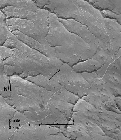 Quando i versanti sono molto acclivi ed il collettore principale è rettilineo, il reticolo assume una geometria che simula un reticolo rettangolare (pseudorettangolare o pseudo-traliccio) Reticolo