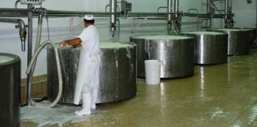 Funzioni non produttive del settore lattiero caseario ovino
