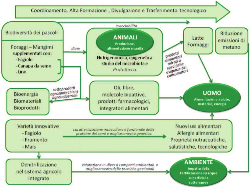 Accordo Quadro Regione Lombardia / CNR 2013-2015 126 Fig. 1 FILAGRO: quadro sinottico degli argomenti e delle attività 1.