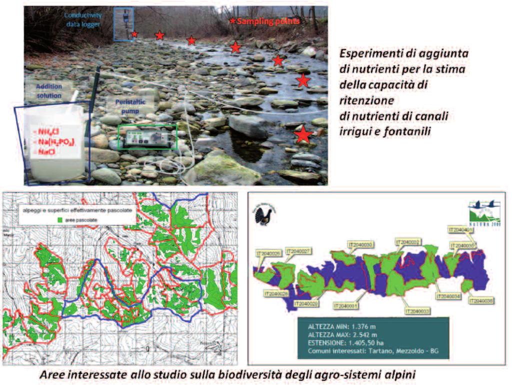 FILAGRO 129 WP3 : individuazione di metaboliti primari e secondari di lino e canapa con particolare attenzione ai composti antiossidanti della classe dei fenilpropanoidi (in collaborazione con il