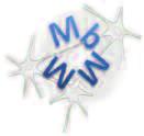 Titolo MbMM Metodologie di base per l innovazione nella diagnosi e nella terapia di Malattie Multifattoriali Logo Sito web Parole chiave Responsabile scientifico http://www.igm.cnr.