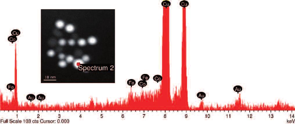 RSPPTECH 209 Fig. 3 Nanoparticelle eterostrutturate di cobaltoferrite (CoFe 2 O 4 ) decorate con oro (Au).