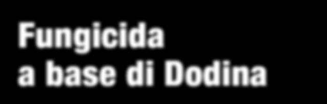 5Fig. 14 - Fra le numerose nuove mele polacche,