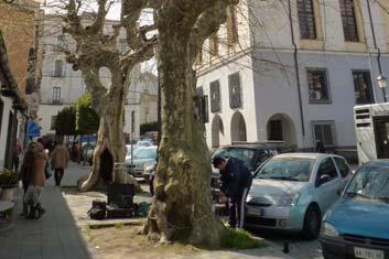 Cuomo Platanus orientalis h da terra strumento, cm 40 distanza sonde, cm velocità onda sonora n file T diametro pianta, cm 82 punto di analisi* F t/r Al limite *C colletto, C/R colletto verso radici,