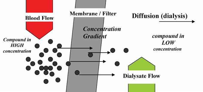 EMODIALISI INTERMITTENTE (IHD) Dose dialitica Clearance frazionale dell urea Kt/V urea >1.