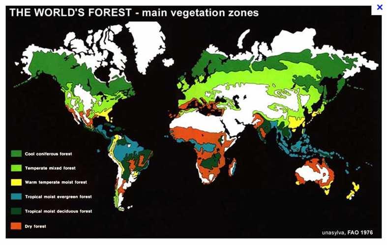 Zone di vegetazione Zonazione molto regolare secondo i paralleli nell