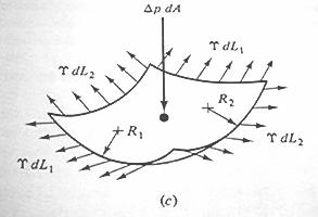 bolla 4σ R h 2σ cos α gr Incremento di