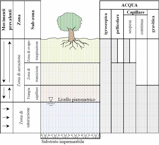 Figura 1.1 Distribuzione verticale dell acqua nel terreno 1.1.2 I principali parametri del terreno Definiamo alcuni parametri che risultano essere utili nella caratterizzazione delle condizioni fisiche del suolo.