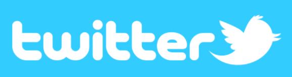 Il contesto digitale in Italia: Twitter Totale utenti attivi in Italia: 1,9 milioni Età media: 24 anni La maggioranza degli account segue un numero