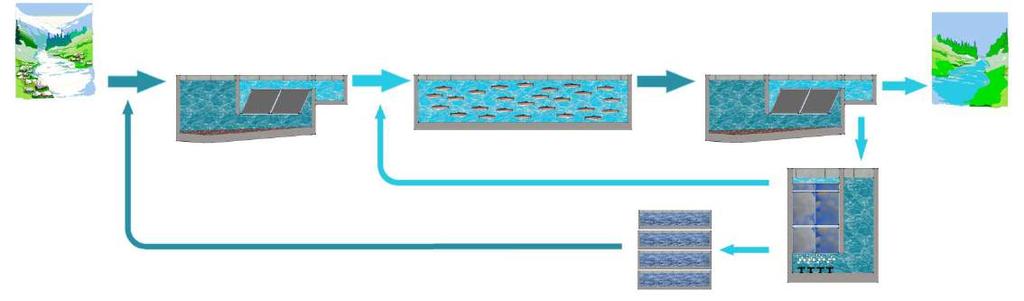 Qui di seguito vengono mostrati i vantaggi dei prodotti Refill-Tech Solutions inseriti negli stadi di trattamento di un impianto di acquacoltura.
