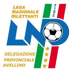 Federazione Italiana Giuoco Calcio Lega Nazionale Dilettanti DELEGAZIONE PROVINCIALE AVELLINO Via Carlo Del Balzo, 81 83100 Avellino Stagione Sportiva 20011/2012 Tel (0825) 31087 Fax (0825) 780011